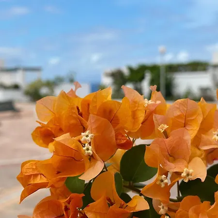 New Two Bedroom Apartment, Big Terrace & Sea View, *