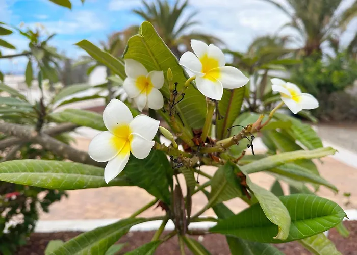 Апартаменты New Two Bedroom Apartment, Big Terrace & Sea View, *