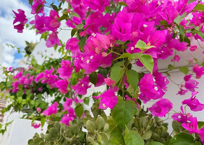 New Two Bedroom Apartment, Big Terrace & Sea View, Апартаменты